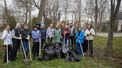 Жители Южно-Сахалинска собрали 705 кубометров мусора на Всероссийском субботнике