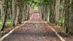 «Пора эволюционировать»: Вишневский привел Прагу в пример жителям Южно-Сахалинска