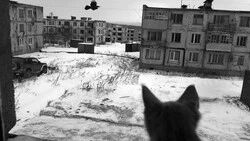 По мнению россиян, мировой кризис значительно отразится на стране