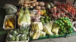 Жители Южно-Сахалинска могут продать излишки рыбы и кабачков