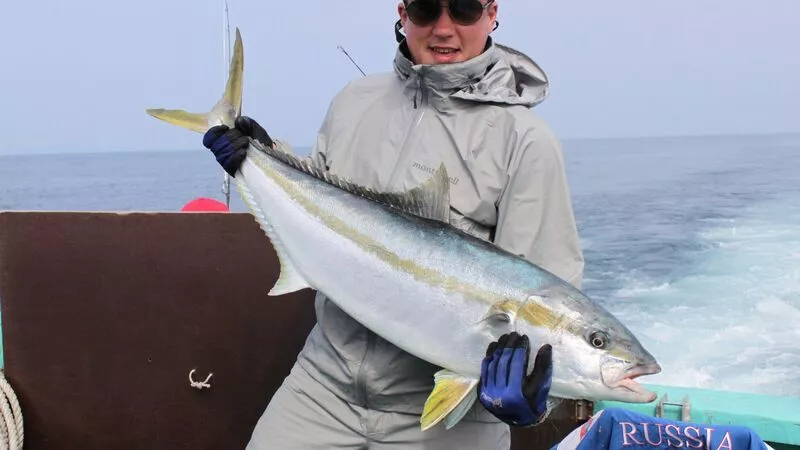 В поисках большой рыбы