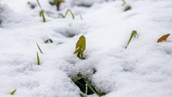 Снег, ветер и дожди придут в Сахалинскую область 23 февраля 