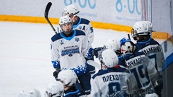 Игроки «Кристалла» сыграют с «Ястребами» на первенстве Москвы по хоккею 18 октября