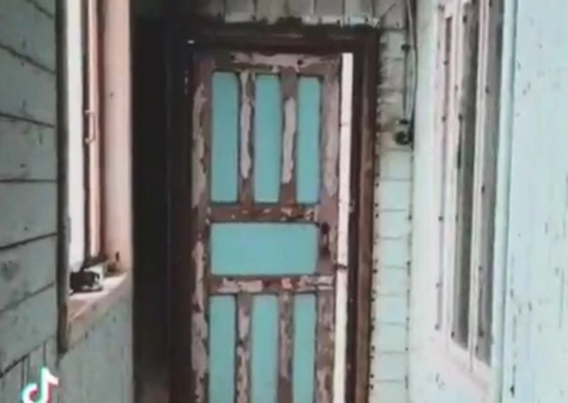 «Это просто другой мир»: TikTok рекомендует сахалинских сивучей