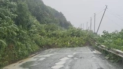 Губернатор взял под контроль ликвидацию последствий схода селей в Невельском районе