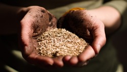 Мужчина ответит за кражу кредитки и двух бидонов зерна в Южно-Сахалинске