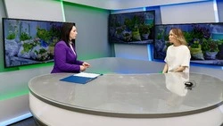 Неделя профилактики заболеваний эндокринной системы стартовала на Сахалине