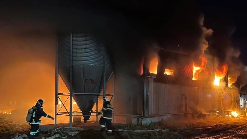 Свинокомплекс «Мерси-Агро» загорелся в Анивском районе