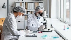 Анализы мочи водителей на Сахалине рассмотрят более тщательно