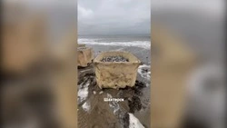 Жители Шахтерска собрали большие чаны с мойвой на побережье 1 мая
