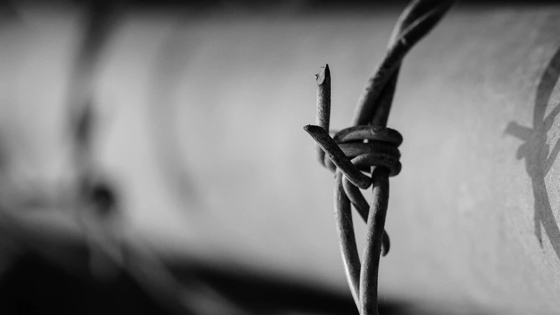 Губернатора Хабаровского края задержали по подозрению в организации убийства