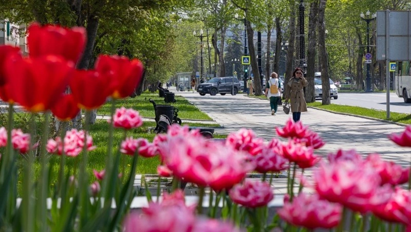 Туристы запланировали продолжительные поездки на Сахалин весной 2026 года