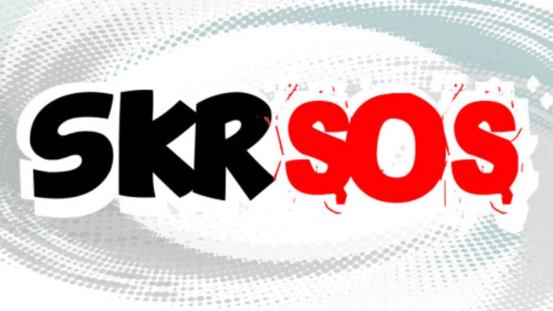 SKR-SOS работает! Сахалинский лицей спасут от сосулек на крыше после жалобы