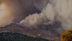 Пожароопасные выходные прогнозируют в четырех районах Сахалина