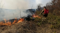 Высокую пожарную опасность спрогнозировали в Смирныховском районе 16-18 сентября