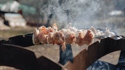 От классики до пива: 10 народных рецептов маринада для идеального шашлыка