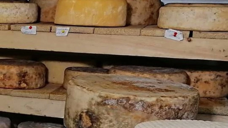 На Сахалине планируют вдвое увеличить объем выпуска крафтового сыра