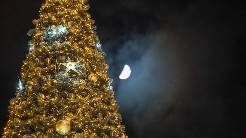 Тонны лески и тысячи шаров: топ необычных фактов о новогодних елках на улицах Южно-Сахалинска