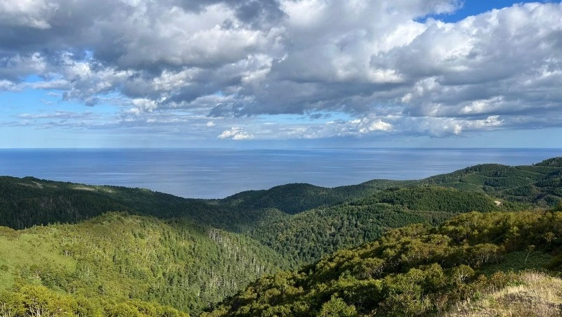 Тепло до +20 градусов придет на Сахалин и Курилы 15 октября