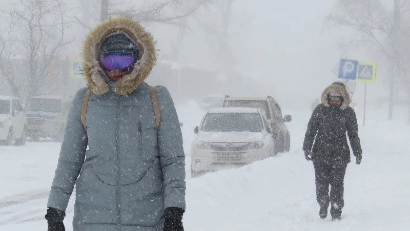 Снежный циклон идет на Сахалин: к выходным синоптики прогнозируют сильный ветер и метель
