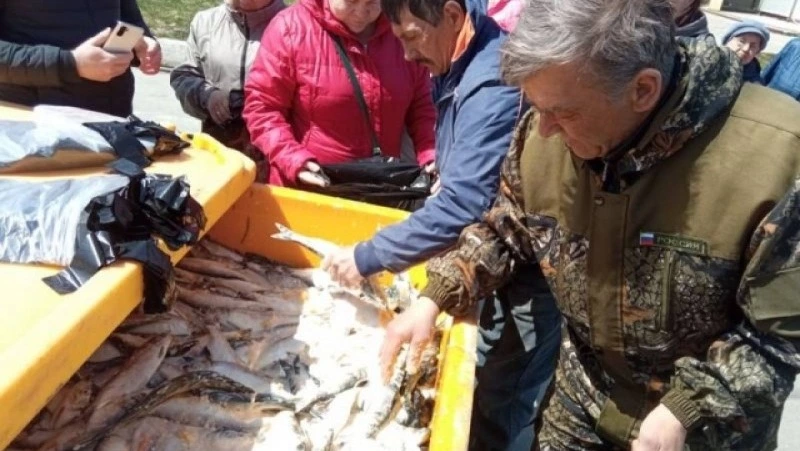 Северо-Курильская база сейнерного флота с Парамушира обеспечивает население свежей рыбой