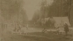 Сахалин после каторги: как остров пережил отмену ссылки и почему это привело к упадку