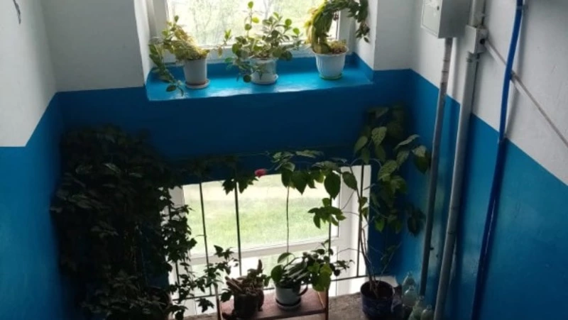 Жители Поронайска создали уют в своем подъезде с помощью цветов