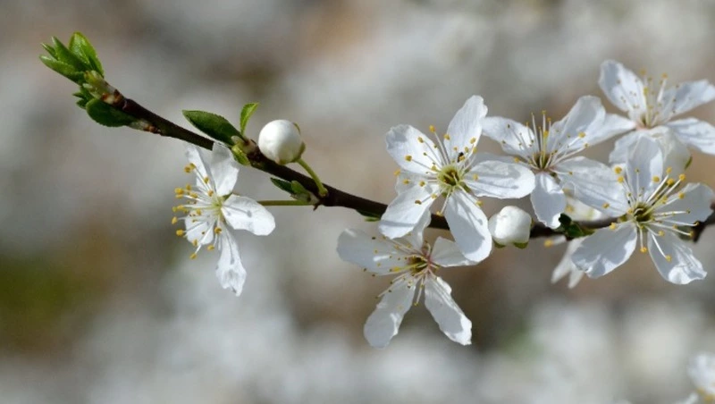 Церковный праздник 19 мая 2023: что нельзя делать в этот день, приметы
