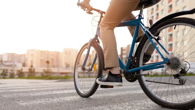 3 июня: Всемирный день велосипеда, День Владимирской иконы Божией Матери и Оленин день