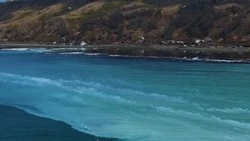 «Вода побелела»: тихоокеанская сельдь массово подошла к берегу в Холмском районе 