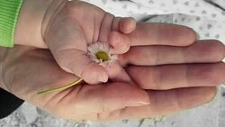 ТОП-6 благотворительных организаций на Сахалине, которые нуждаются в помощи островитян