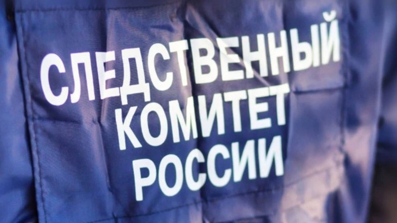 Глава фермерского хозяйства на Сахалине украла более 2 млн рублей из областного бюджета