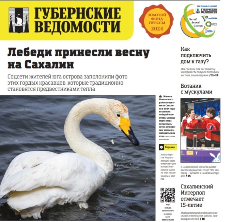 Мост на Сахалин и льготы для семей — анонс «Губернских ведомостей» от 11 апреля