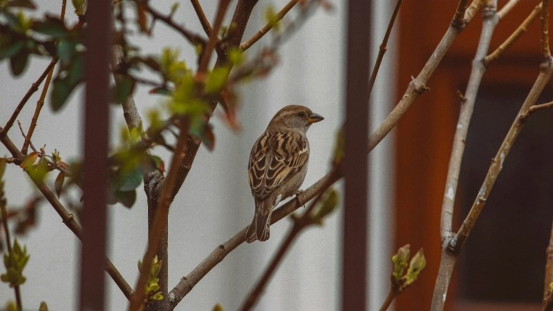 Церковный праздник 9 апреля 2025: что нельзя делать в этот день, приметы