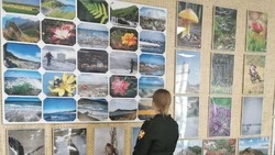 Выставку работ героя Алексея Ходюкова открыли на Итурупе в День России