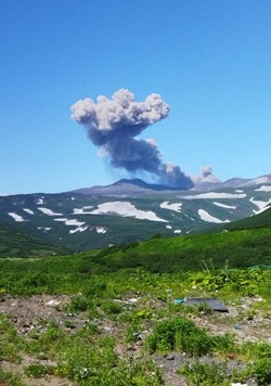 Частота «выстрелов» пугает: вулкан Эбеко на Курилах вновь выбросил пепел  