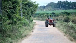 Полиция нашла поддельные права у шестерых иностранцев в Невельском районе