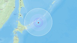 Землетрясение магнитудой 5,6 произошло у берегов Южных Курил 8 ноября