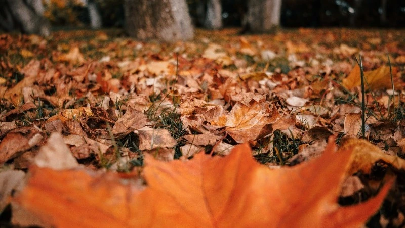 Морозное утро и ясный вечер ждут жителей Южно-Сахалинска 13 октября