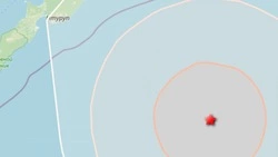Землетрясение магнитудой 4,6 зарегистрировали на Курилах