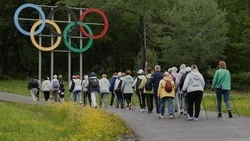 Разумная активность