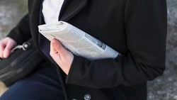 Кража собаки, зимняя рыбалка и пеплопад: новости выходных в Сахалинской области