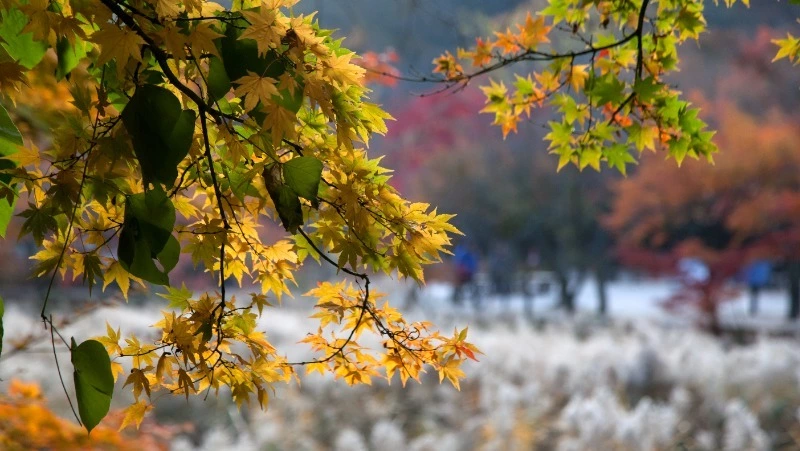 Церковный праздник 23 октября 2024: что нельзя делать в этот день, приметы