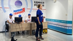 Результаты выборов на Сахалине назвали новым доминированием «Единой России»