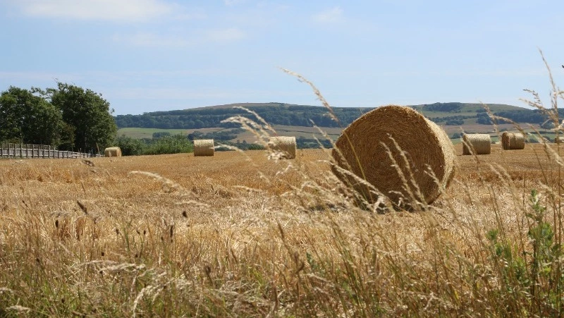 Церковный праздник 10 июля 2025: что нельзя делать в этот день, приметы