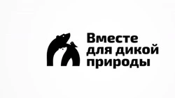 Голосование за будущие символы природы России стартовало на ПМЭФ