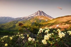 Михаил Мишустин подписал указ о финансировании Дальнего Востока