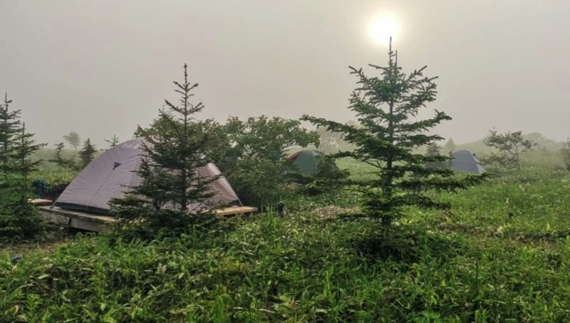 Термальные источники на Кунашире закрыли, туристам возвращают деньги