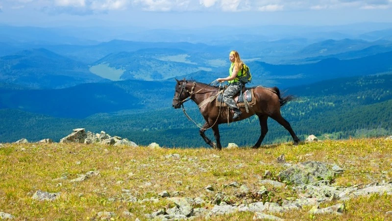 «Голытьба! Шаромыжники! Мухи!»: скандальному камчатскому министру посвятили стихи