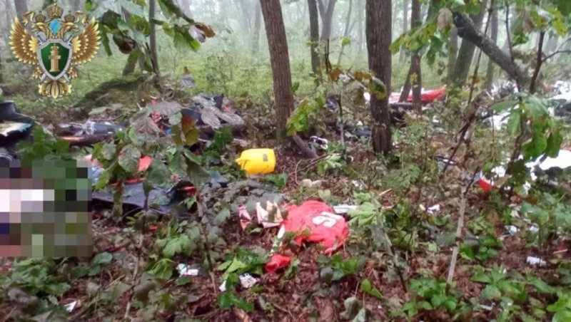 В сети опубликовали снимки с места крушения самолета с омскими летчиками